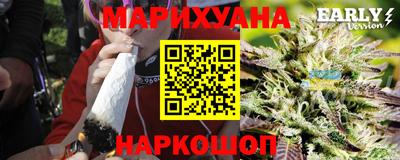 spice Дубна
