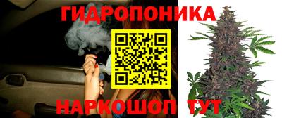 ГАЛЛЮЦИНОГЕННЫЕ ГРИБЫ Гусь-Хрустальный