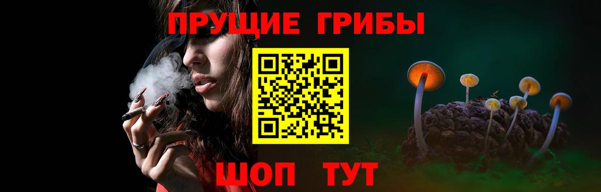 Минусинск  Псилоцибиновые грибы Cubensis  Вход с VPN 